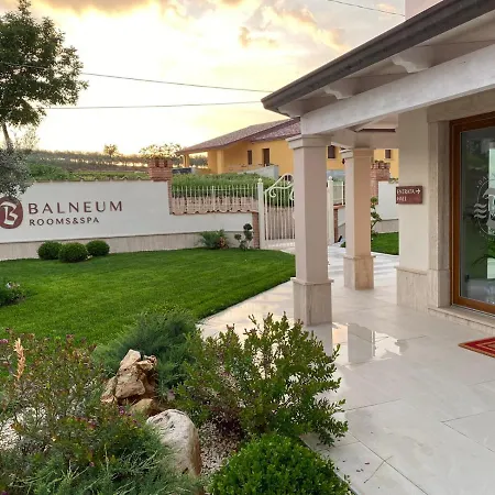 Hotel Balneum &